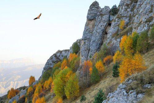 Осень в горах..