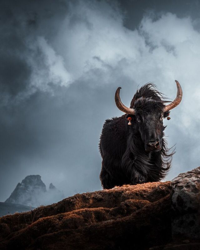 Як фото превью