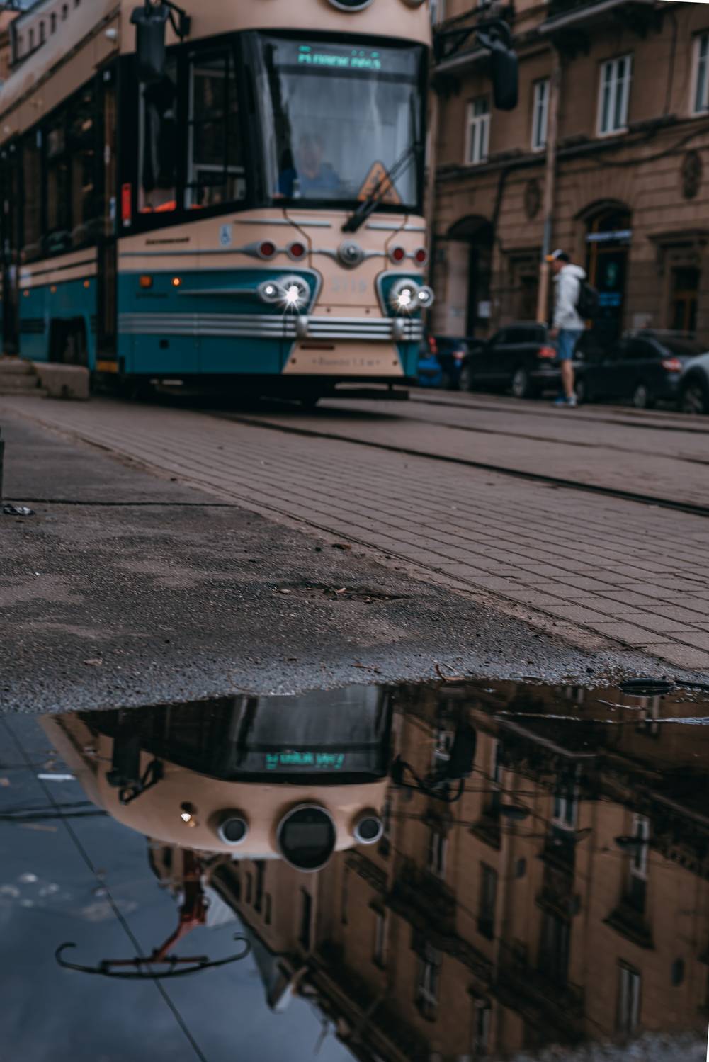 , Дарья Шевченко