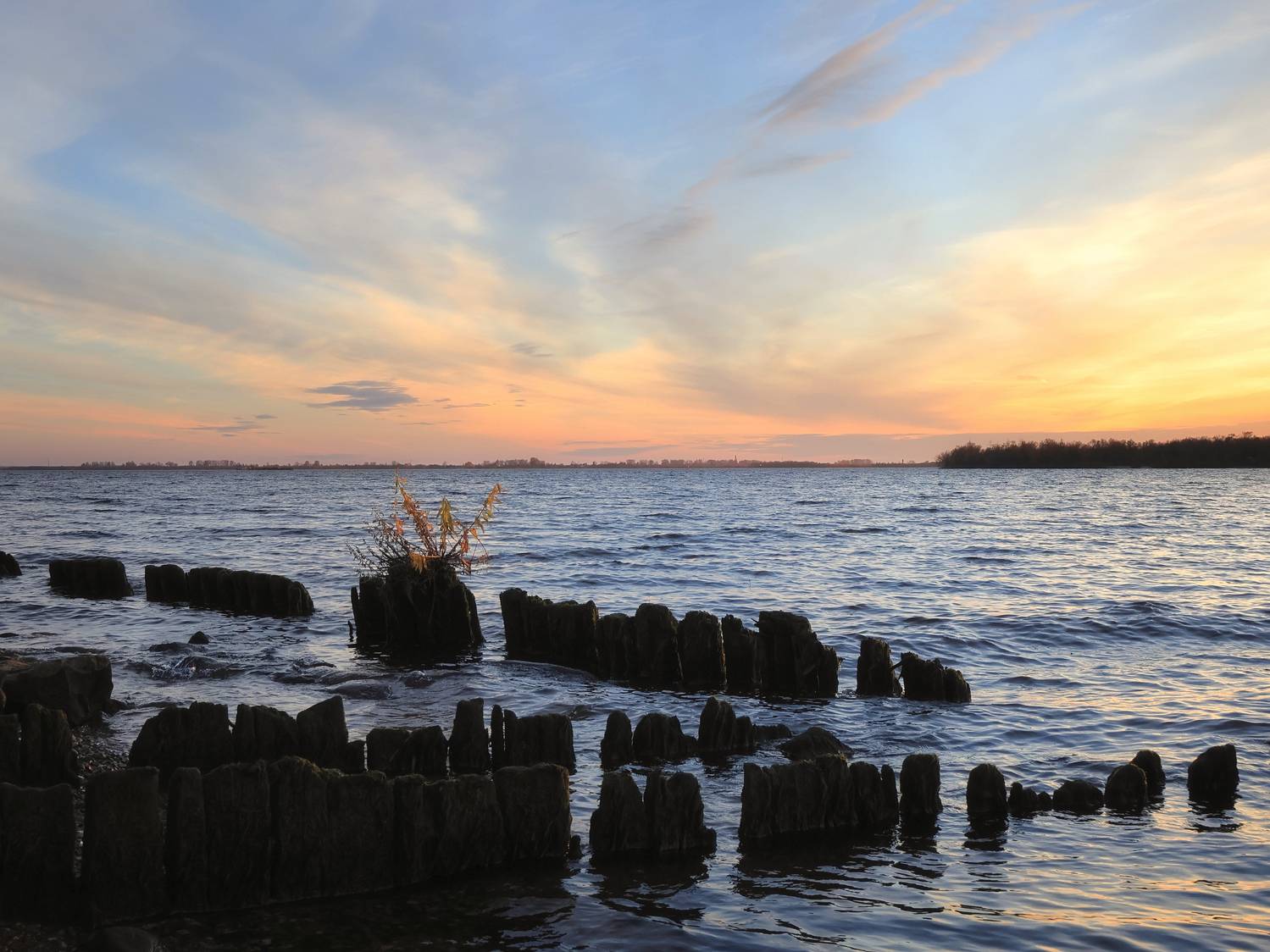 , Александр Титов