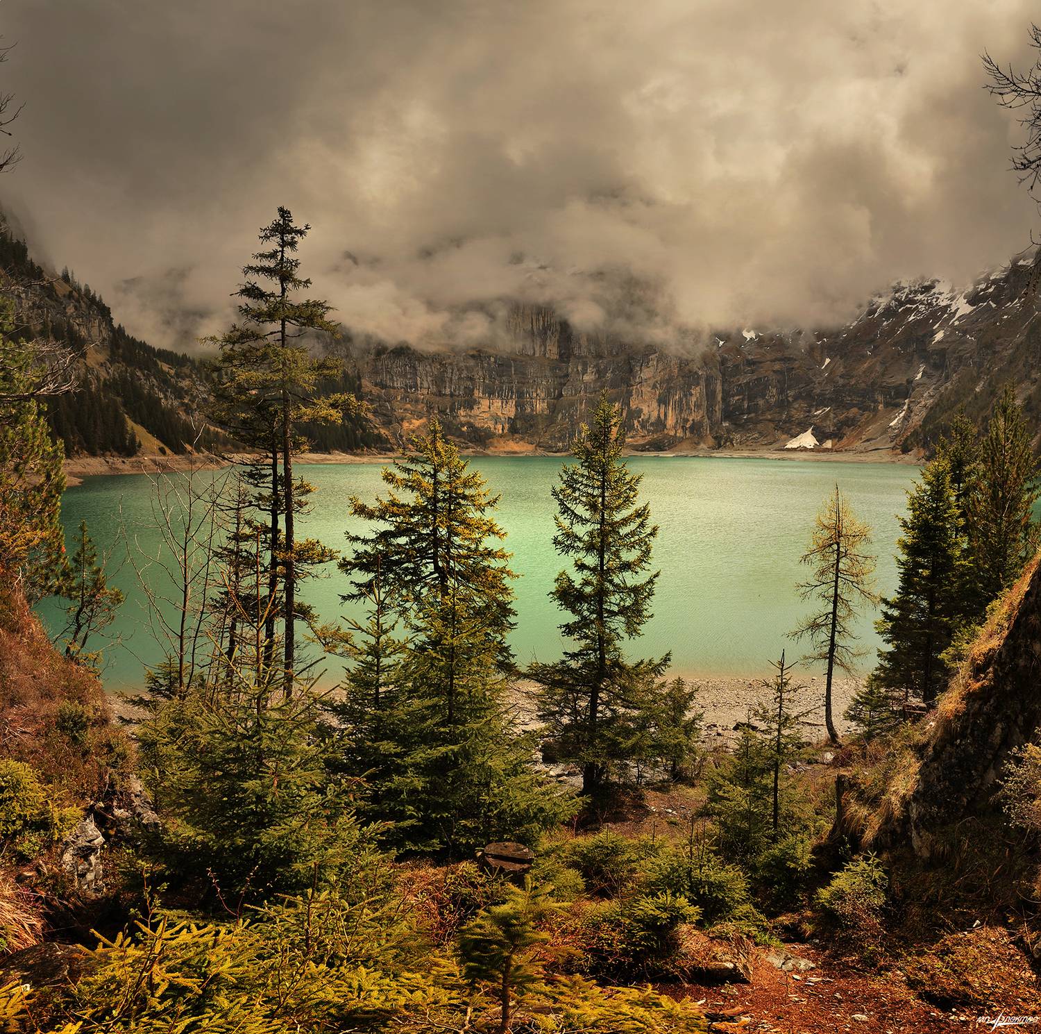 swiss, Матвеев Николай