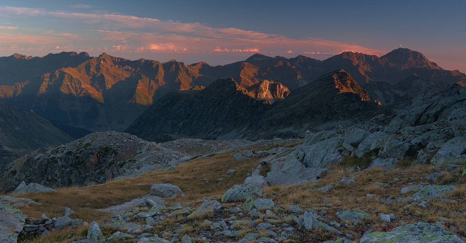 , Wojciech Tarnowski