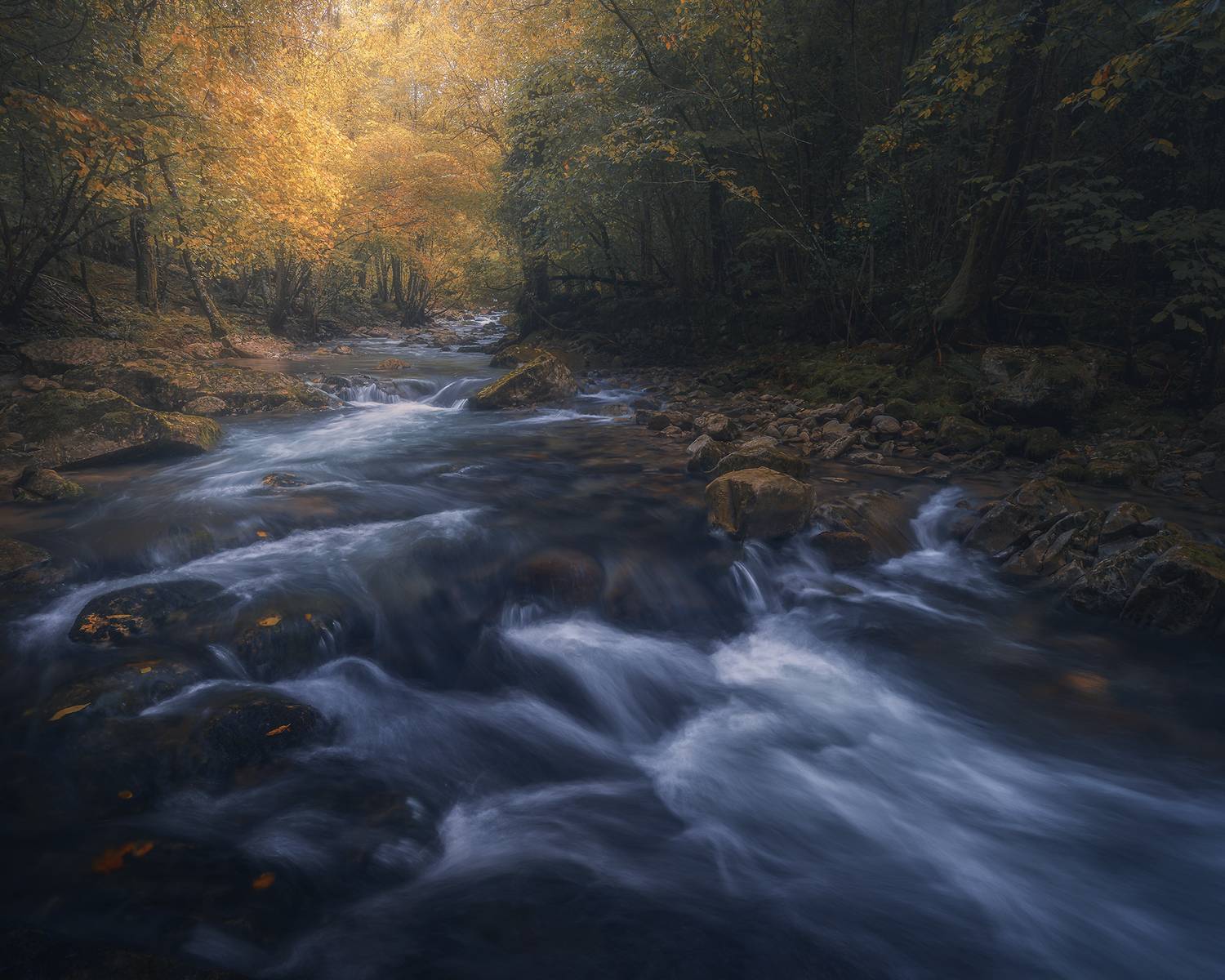 , de Franzoni Thomas