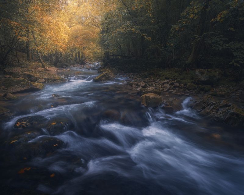 The Flow of Silence фото превью