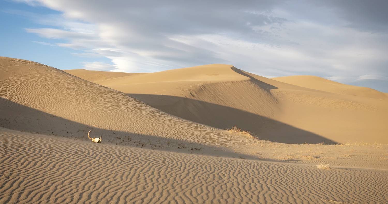 , Лещёнок Александр