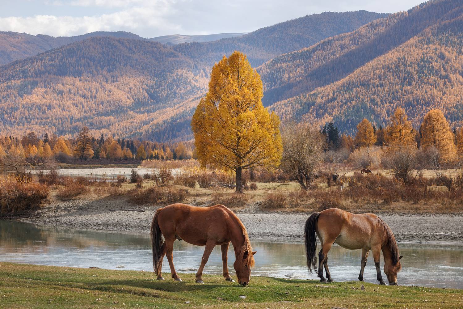, Морозов Сергей