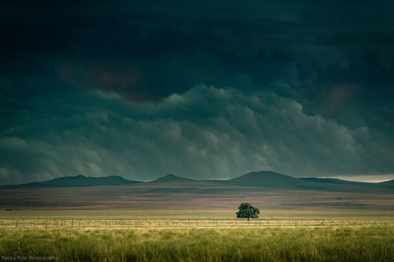 new mexico, usa, landscape, summer, nature, outdoors, clouds, cloud, sky, storm, thunderstorm, weather, tree Painted Sky (Раскрашенное небо) фото превью