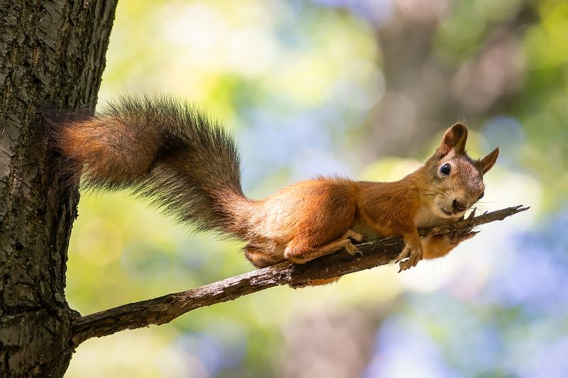 Держусь фото превью