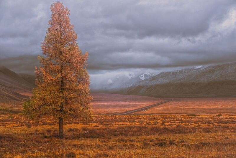 Чуйский тракт. фото превью