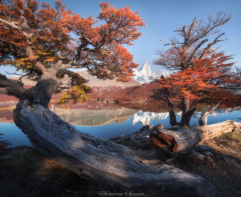 Патагония фото превью