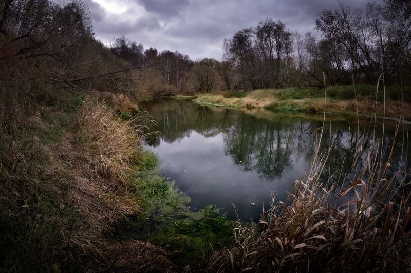 Предзимье фото превью