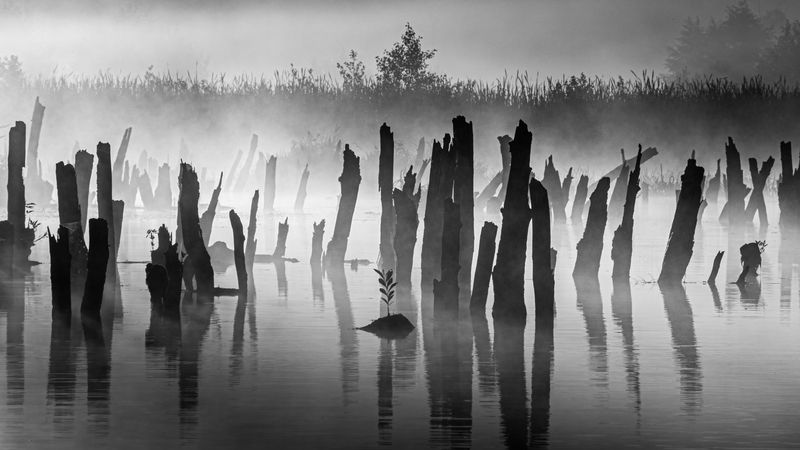 В лучах утреннего солнца фото превью