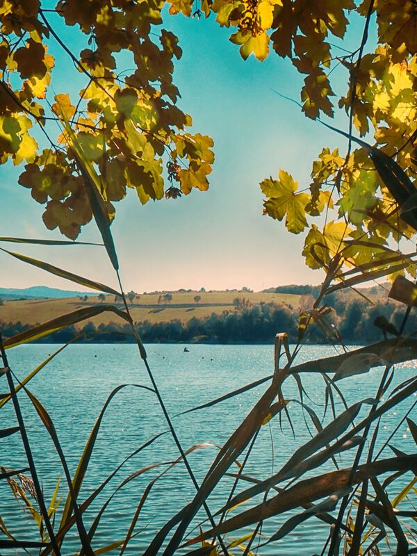 Autumn is here фото превью