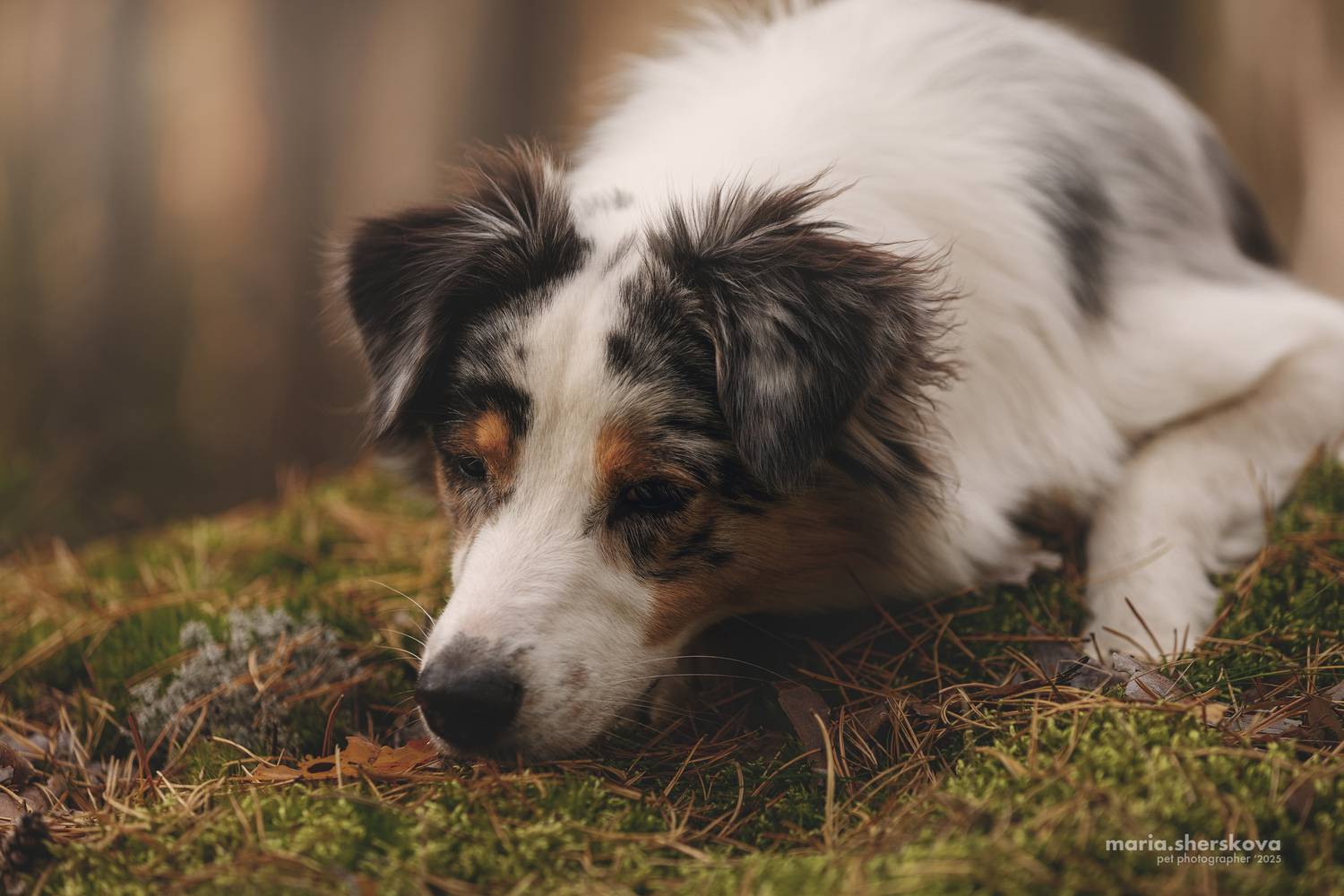 , Шерскова Мария