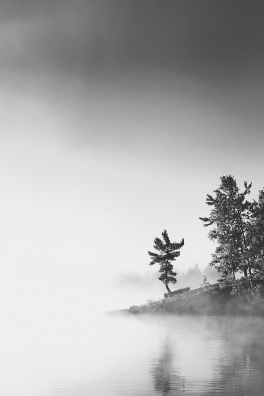 lake, tree, nipissing, fog, morning, coast, frenchriver, dokis, iverviewcottages, canada, blackandwhite, canada, fog, moody, fine, nature, tree, alone, island, small, Recon фото превью