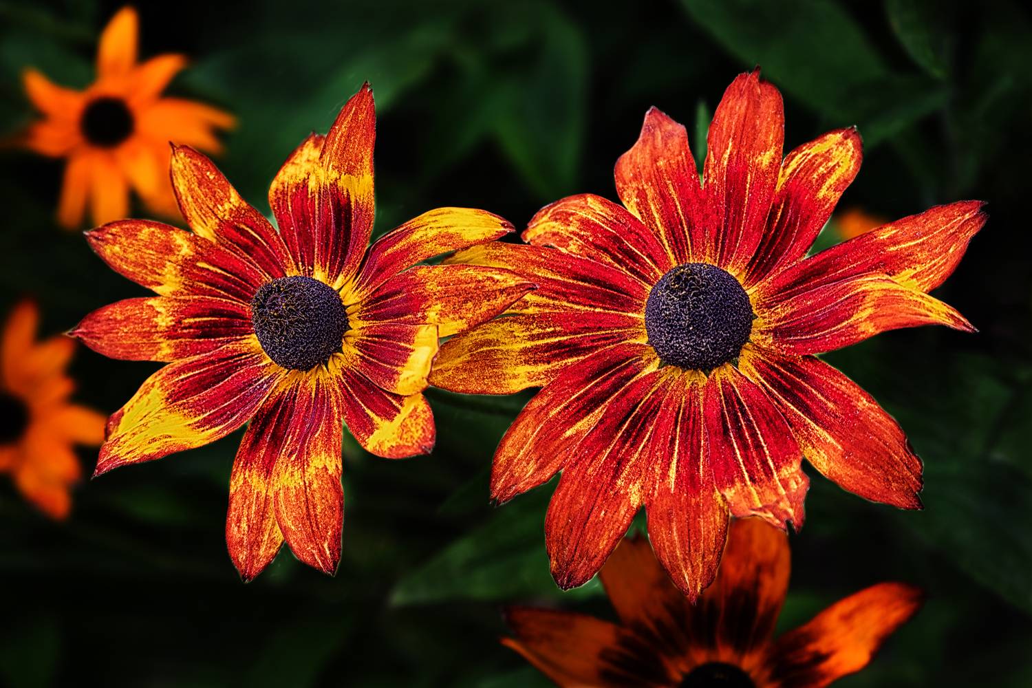 , Ушаков Валерий