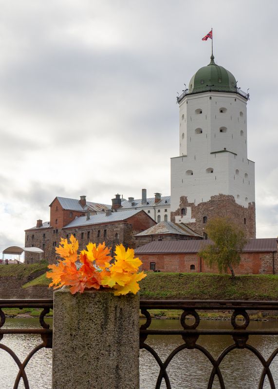 Выборг фото превью