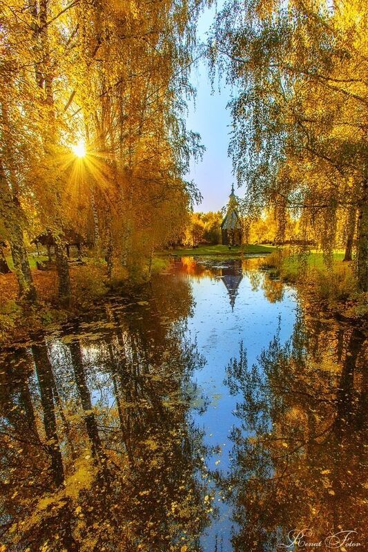 Костромской край. фото превью