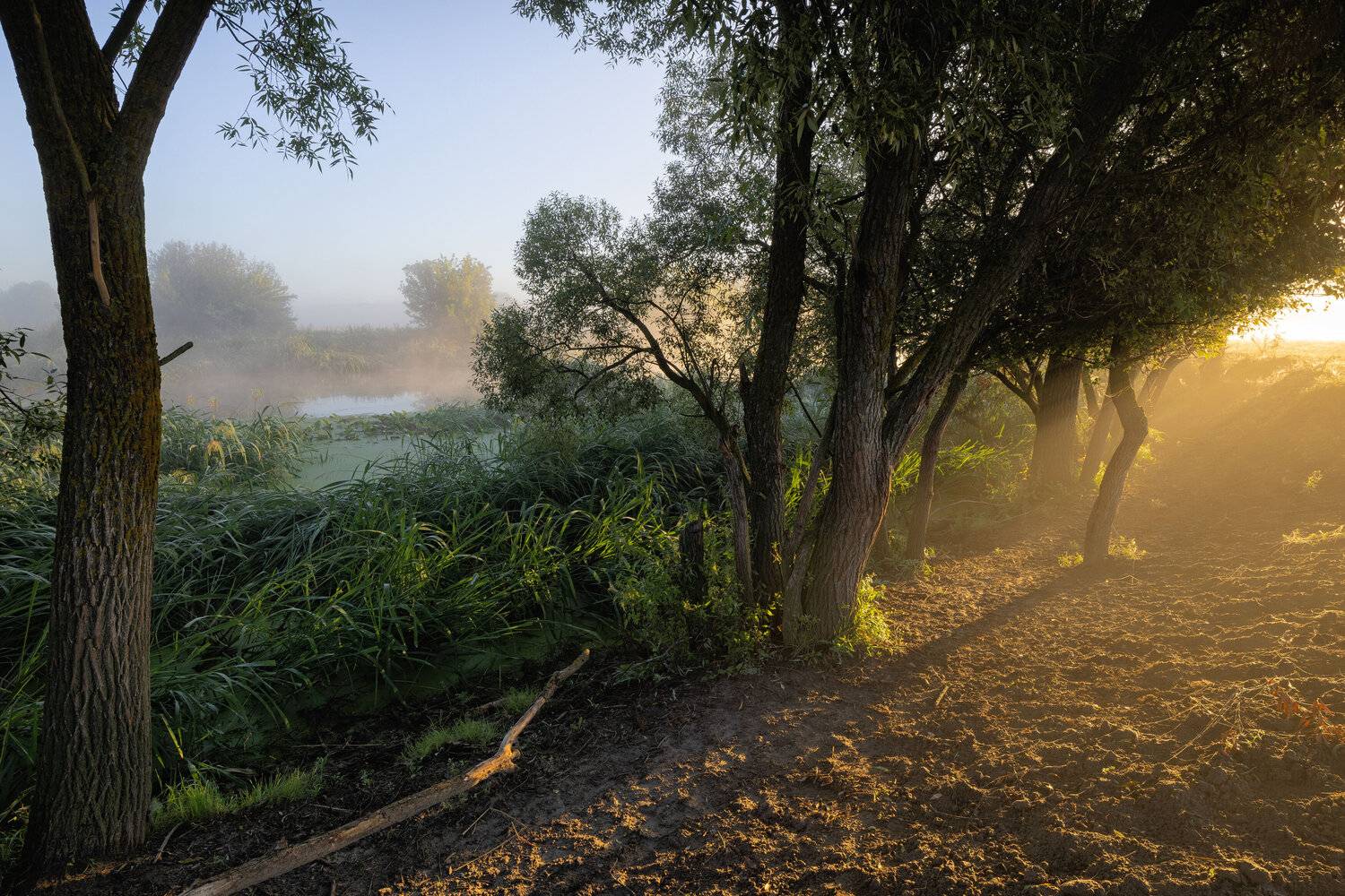 , Александр Бредихин