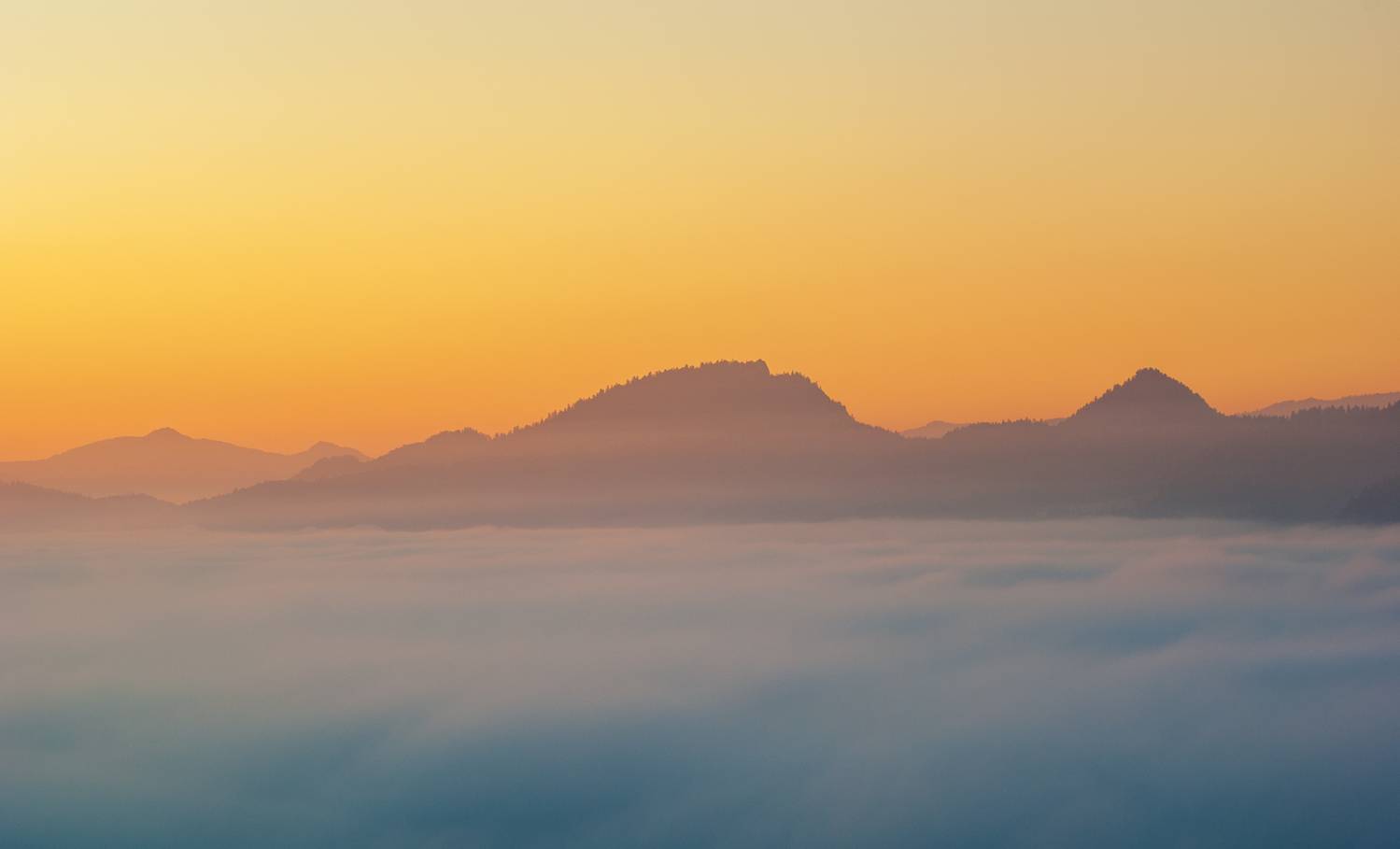 ,  Mirosław Pruchnicki