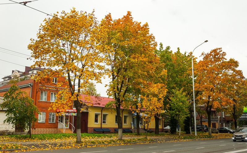 улочки города . фото превью