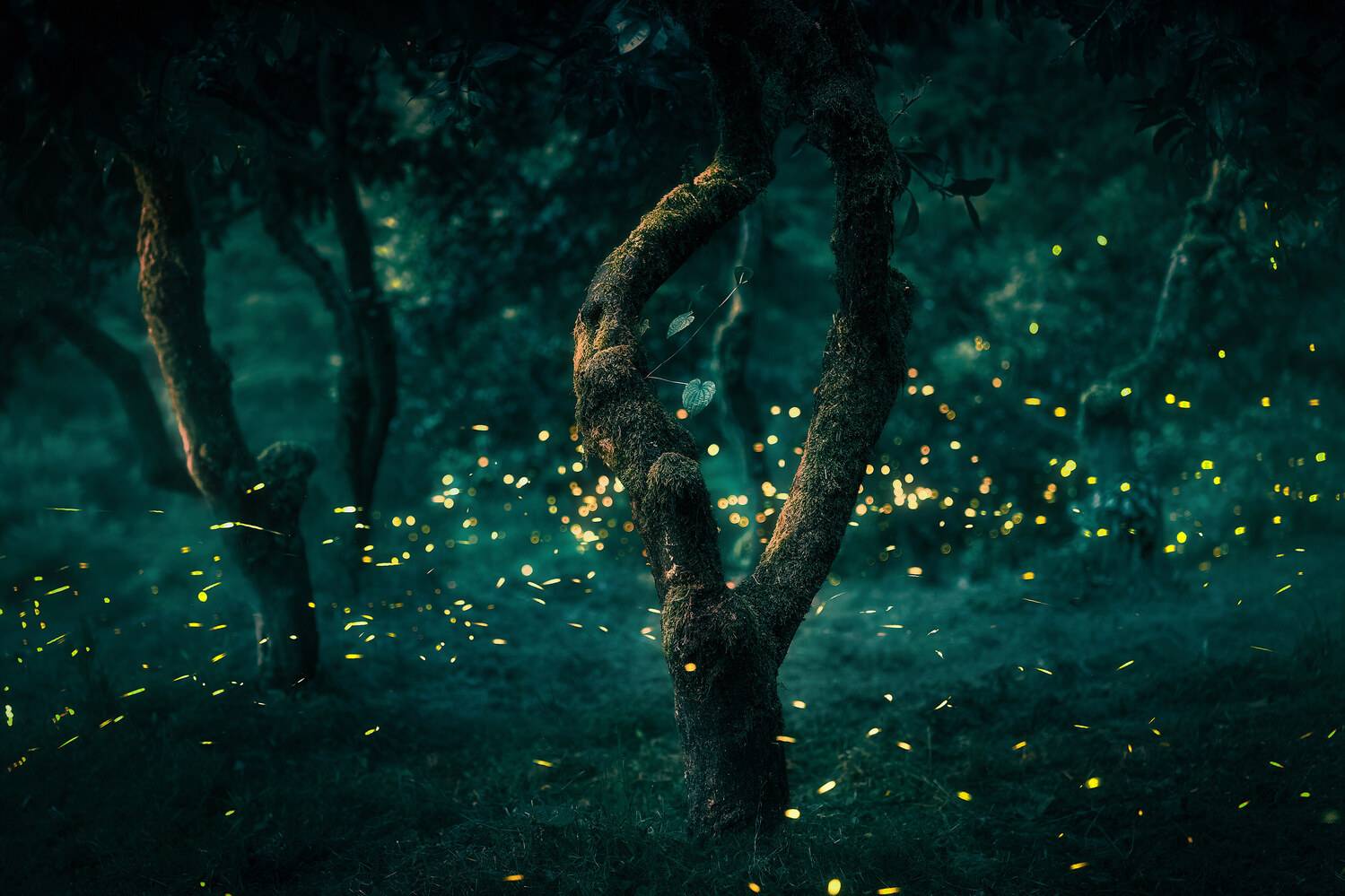 , Купчиков Илья