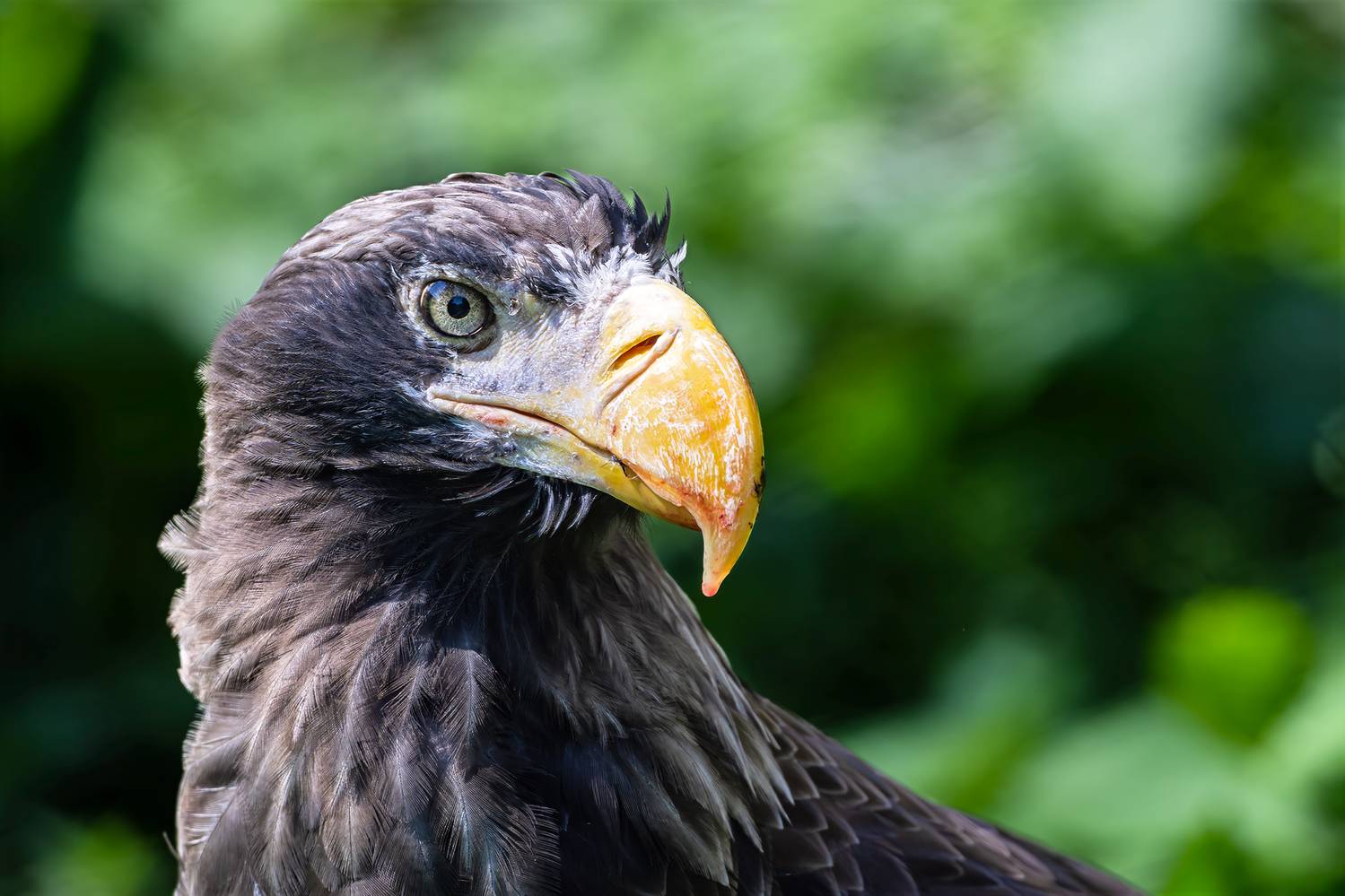 , Молодкин Дмитрий