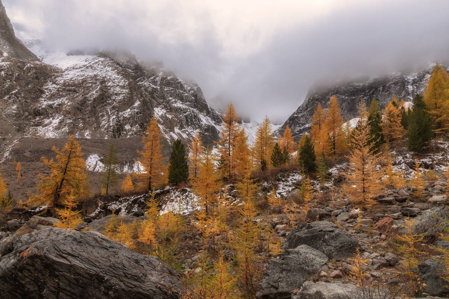 Алтай, Гусева Елена