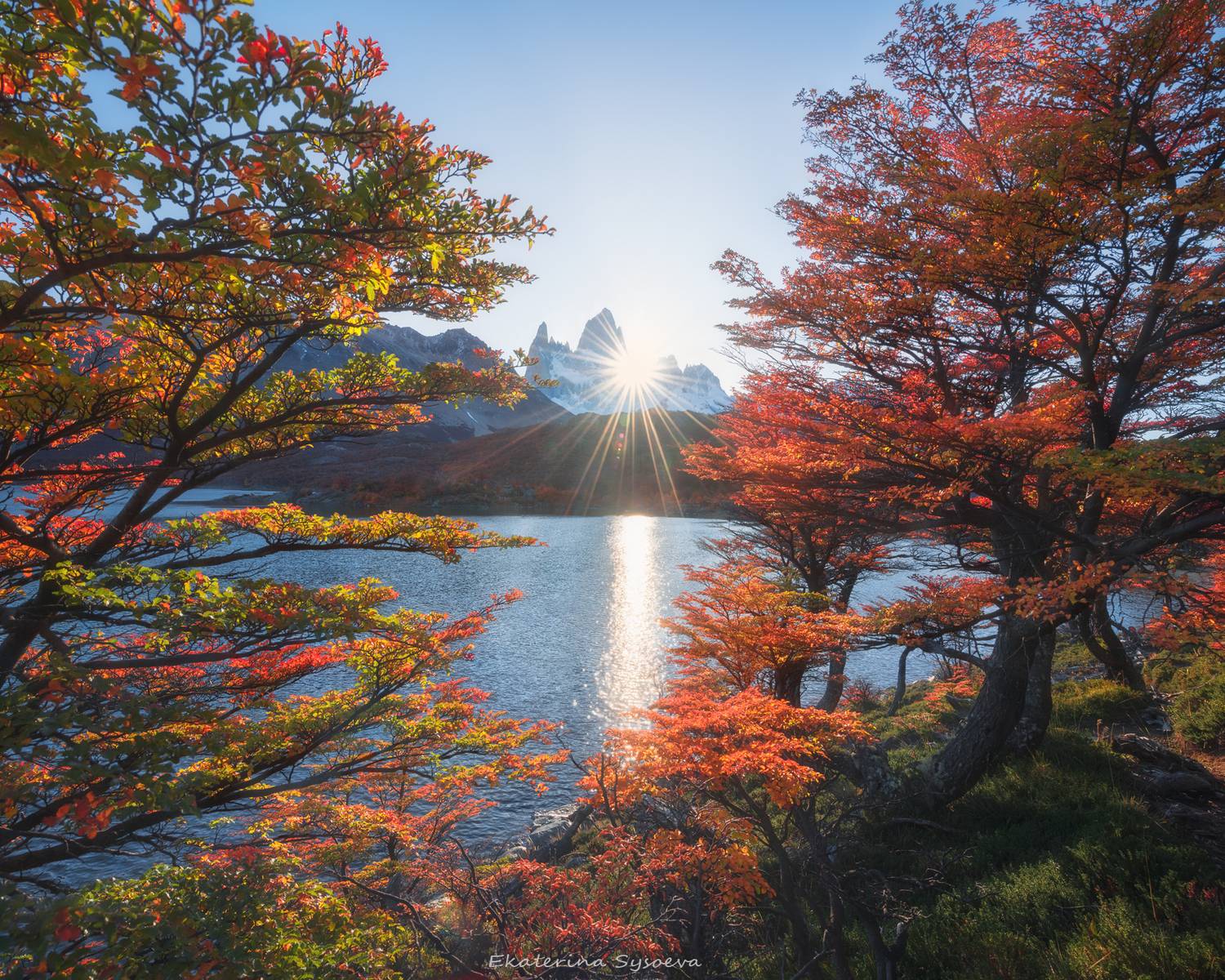 , Екатерина Сысоева