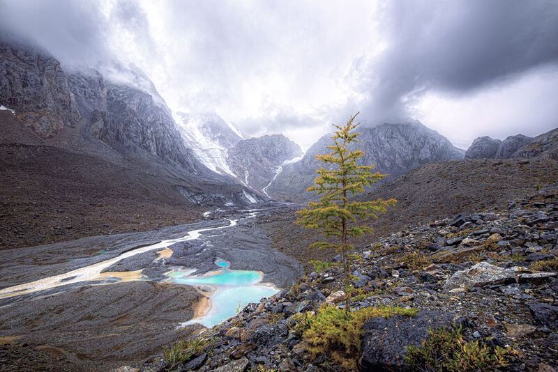 Актру фото превью