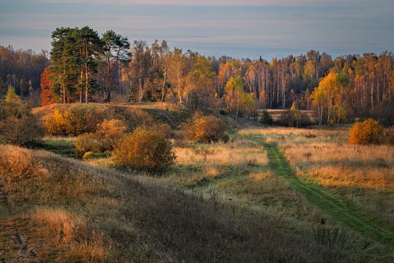 * фото превью