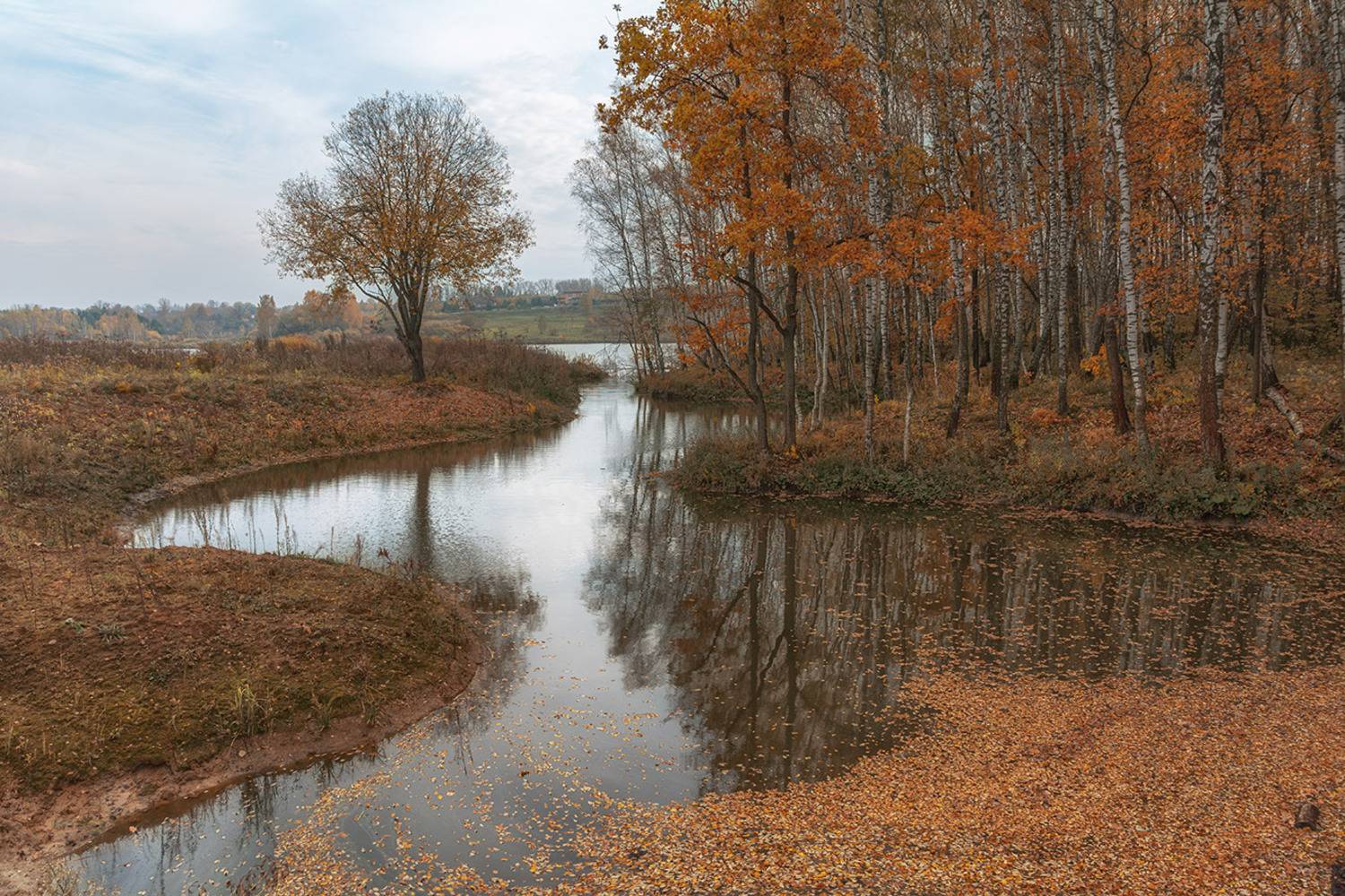 , Анатолий Зверев