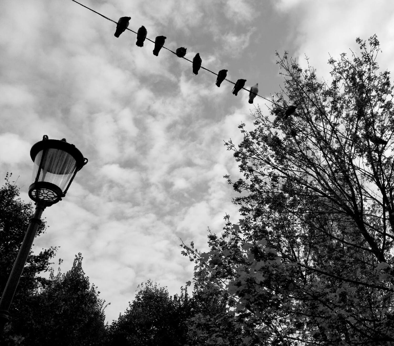 , Антон Лаба