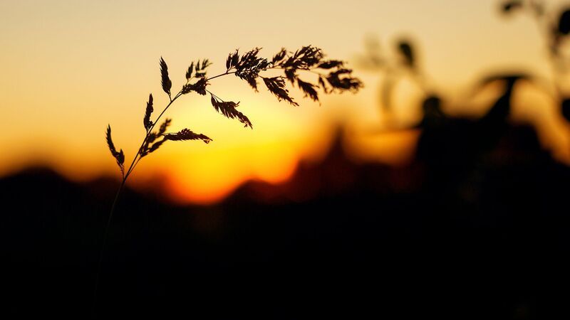 Летний вечер фото превью