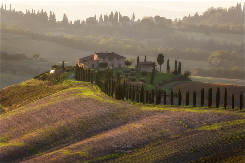 italy,crete senesi,italia,италия,тоскана,кипарис,toscana,осень,tuscany,cipressi,belvedere,asciano,тени,podere baccoleno,rural Дымка у Подере Бакколено фото превью