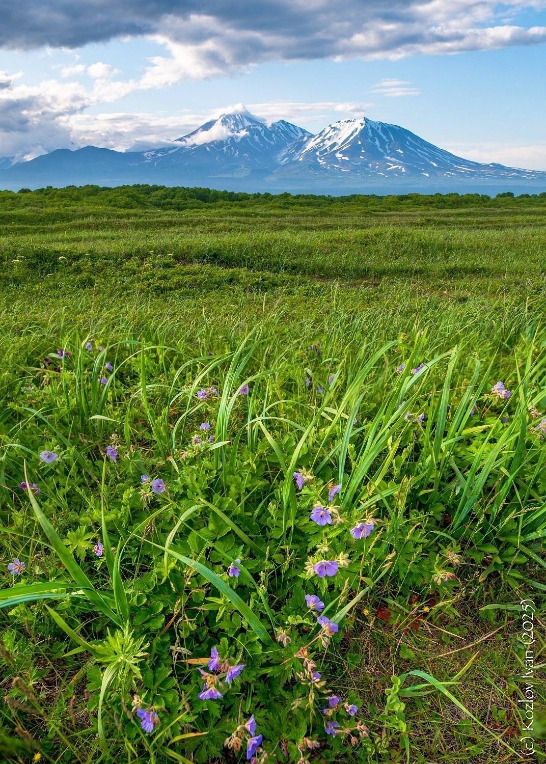 , Козлов Иван