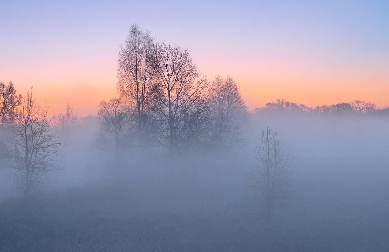 , Роман Игнатьев