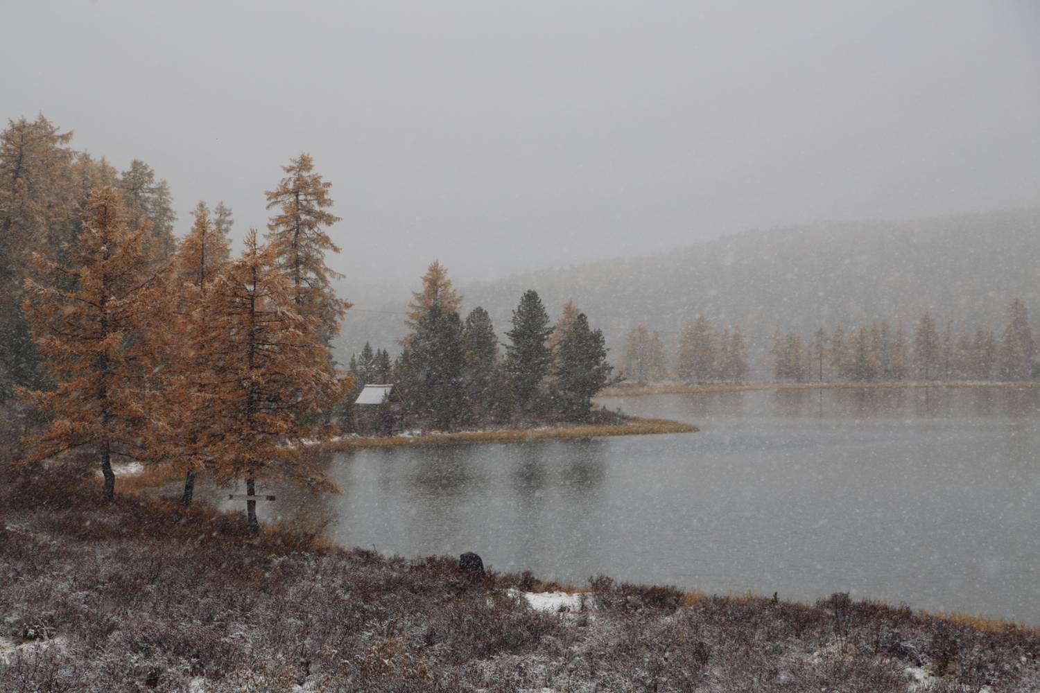 , Евгений Зинов