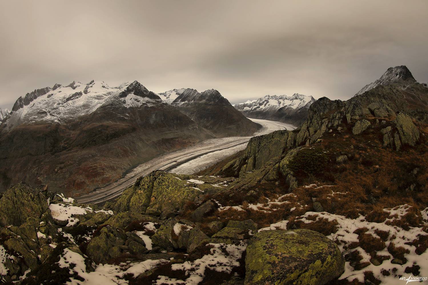 swiss, Матвеев Николай