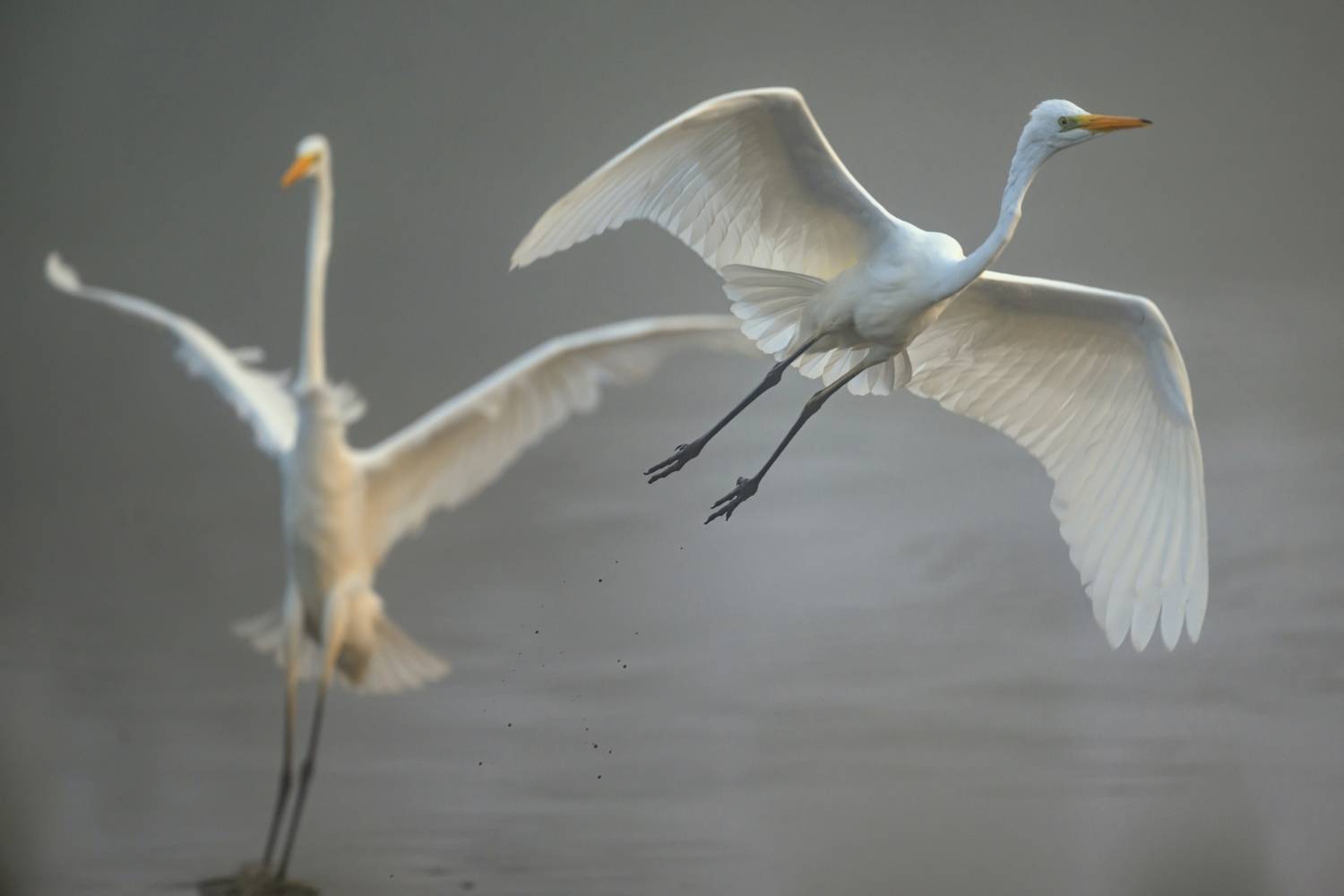 , Пупонин Сергей