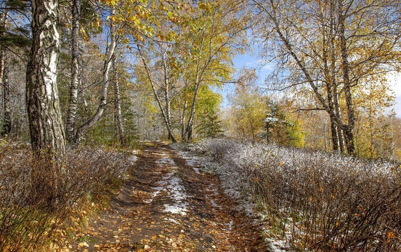 ... фото превью