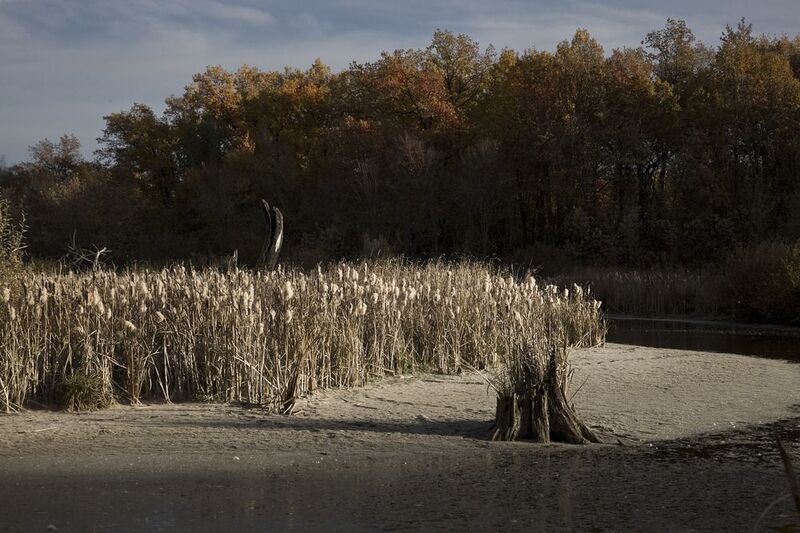 золотая осень Октябрь фото превью
