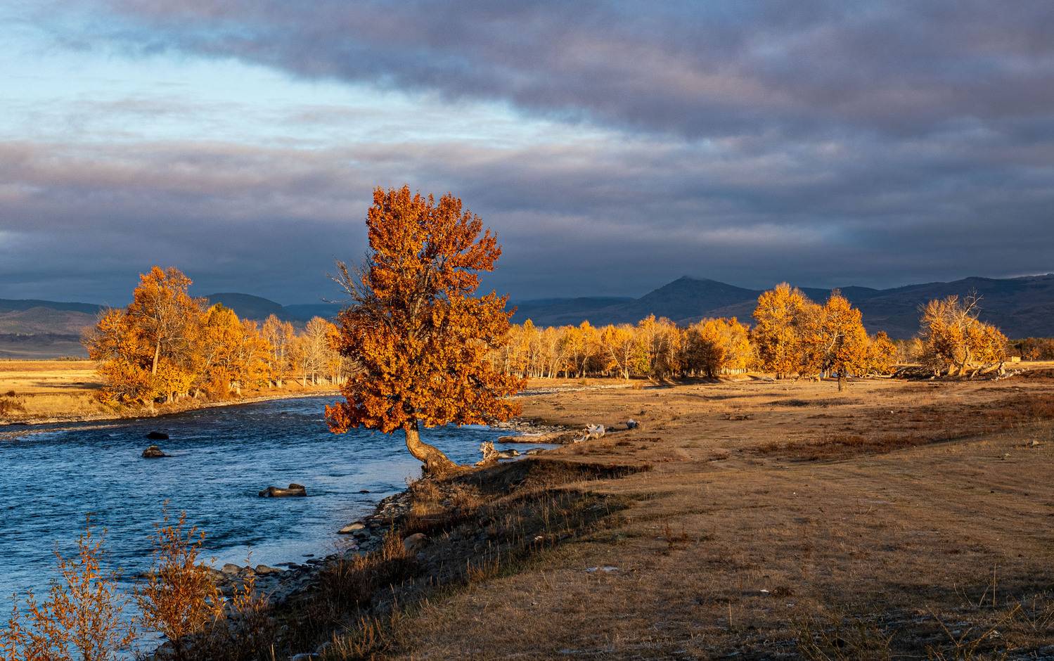 алтай, Добролюбова Тамара