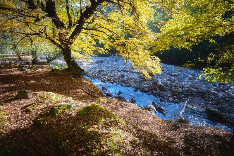 *** фото превью