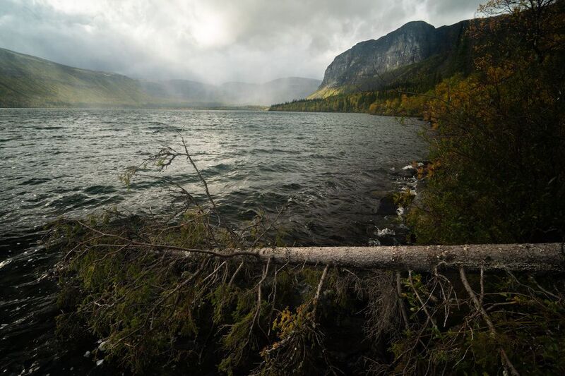 Склонилось испить воды фото превью