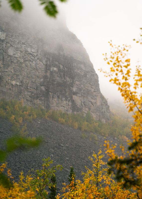 Куйва фото превью