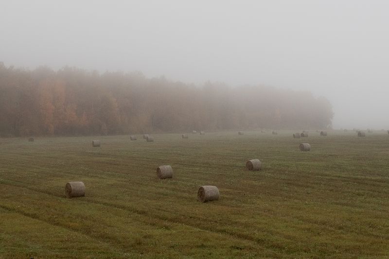 природа, сено, осень, туман, унылая пора, пейзаж Урожай собран фото превью