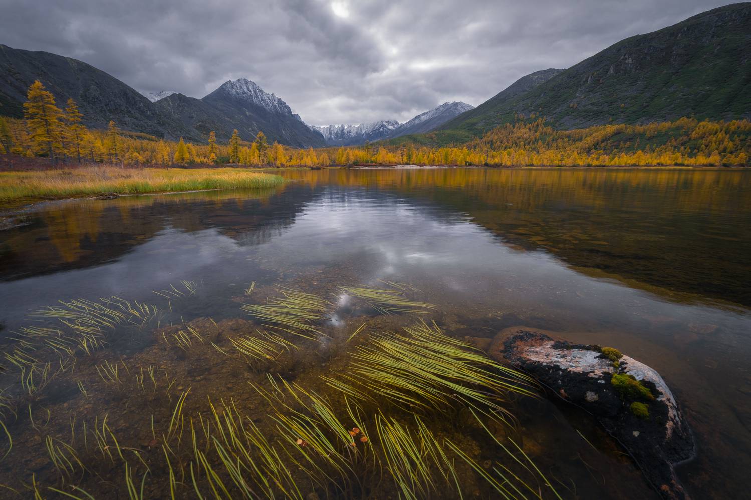 озеро джека лондона, озеро невидимка, пейзаж, водоросли, отражение, Mikhail Ioannisian