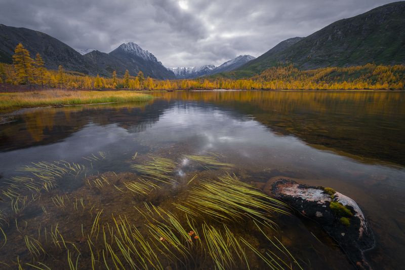 озеро джека лондона, озеро невидимка, пейзаж, водоросли, отражение Озеро Невидимка фото превью