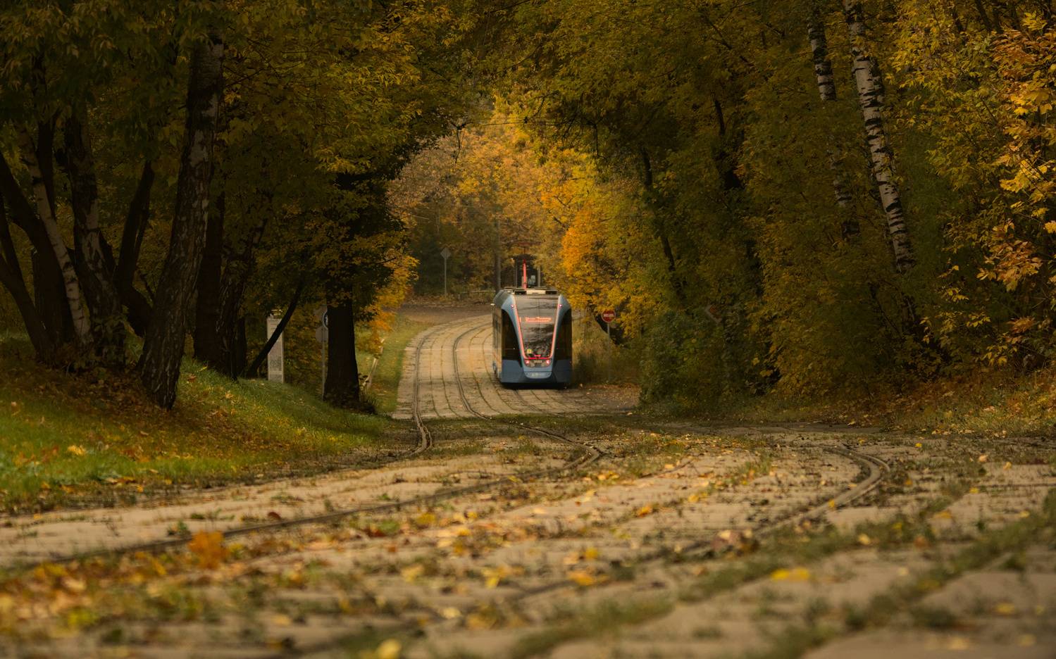 москва осень клены трамвай транспорт краски дорога, Николай Потапов